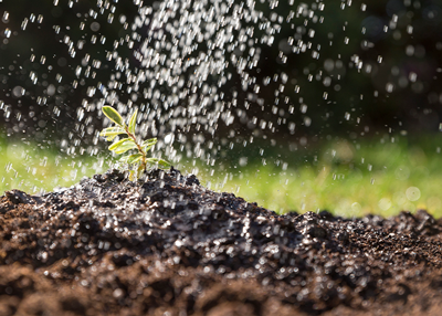 Valoração da Água na Agropecuária: desafios e oportunidades para o Brasil