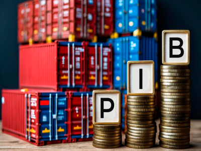 Conselheiros analisam crescimento do PIB em 2025 